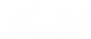 Black Spiders Logo 800